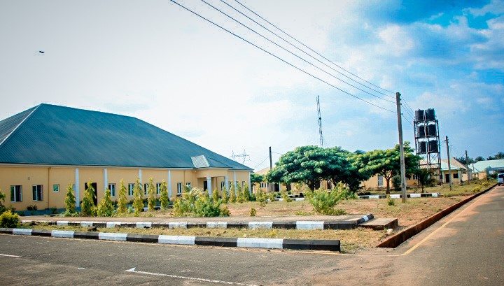 Professional Studies