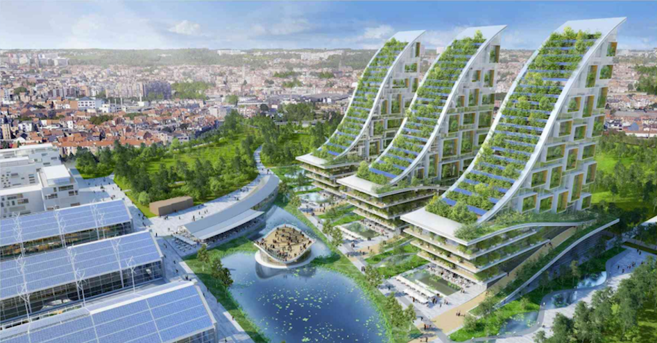 Professional Studies